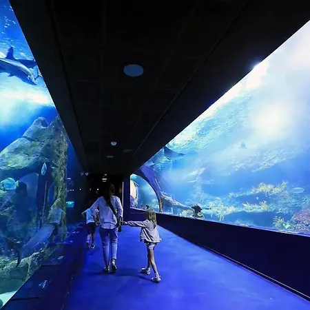 - High-end - Balcony View - - Comfort -pool * Biarritz